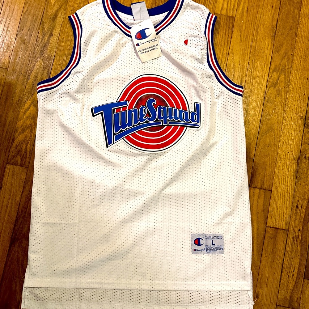 NWT VINTAGE Toon Squad Jordan Champion Jersey